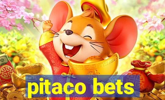 pitaco bets